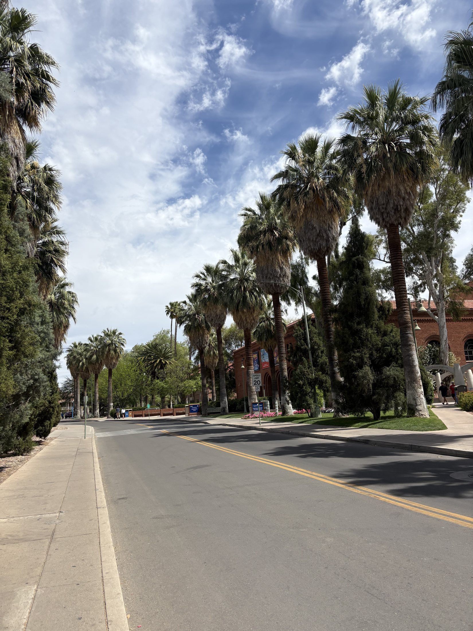 Tucson, AZ location view 3