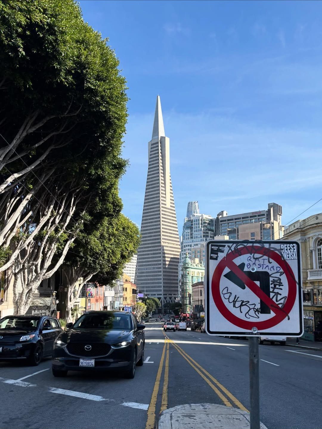 San Francisco, CA location view 12