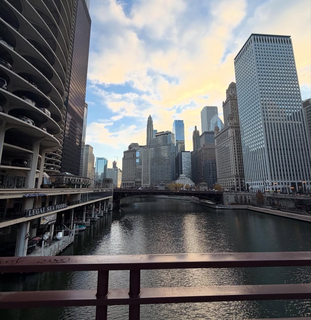 Chicago, IL location view 11