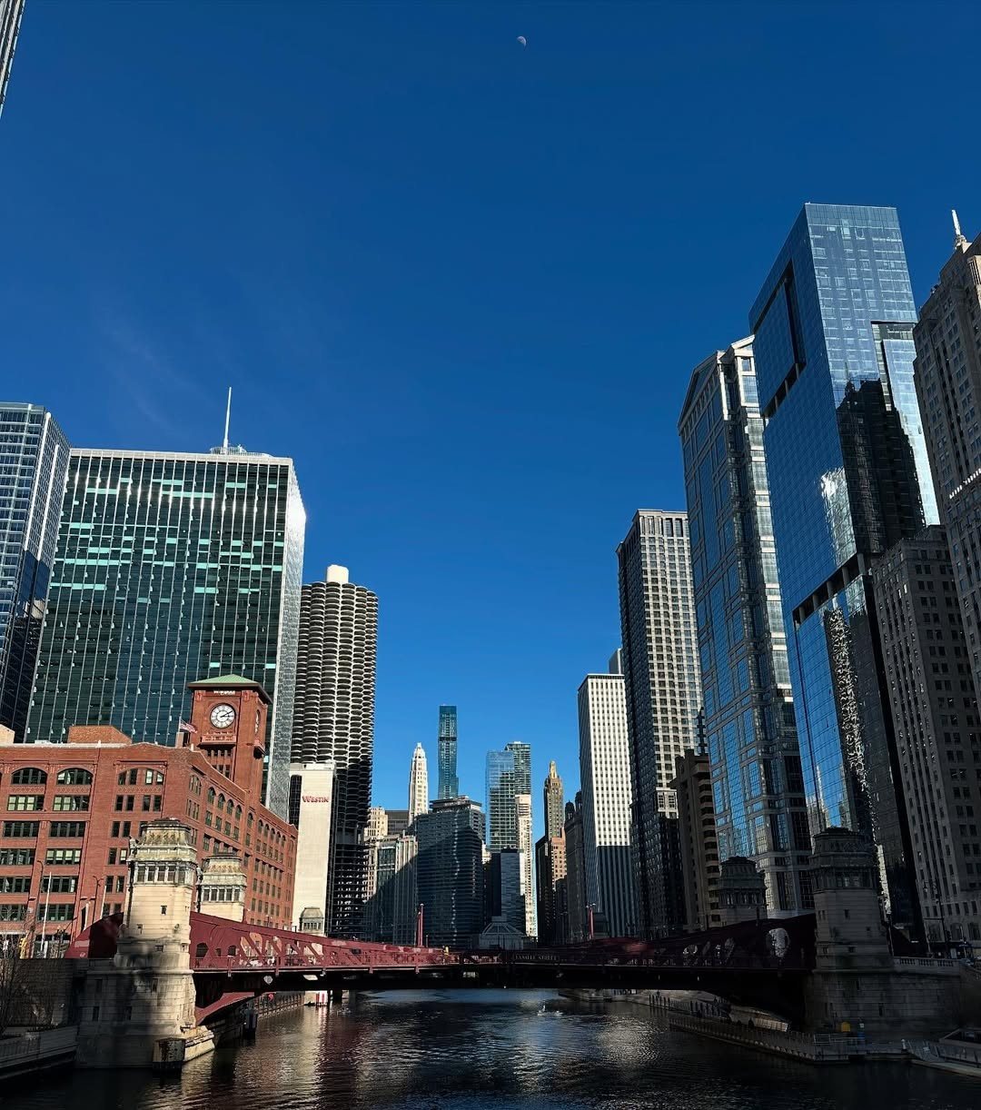 Chicago, IL location view 14