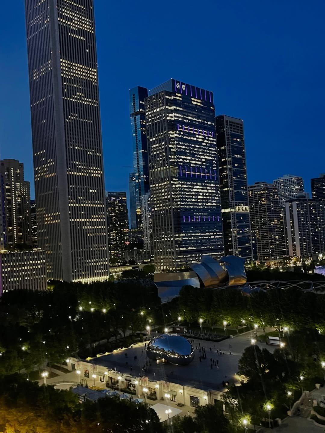 Chicago, IL location view 32