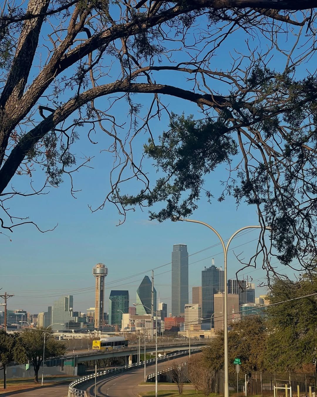 Dallas, TX location view 10