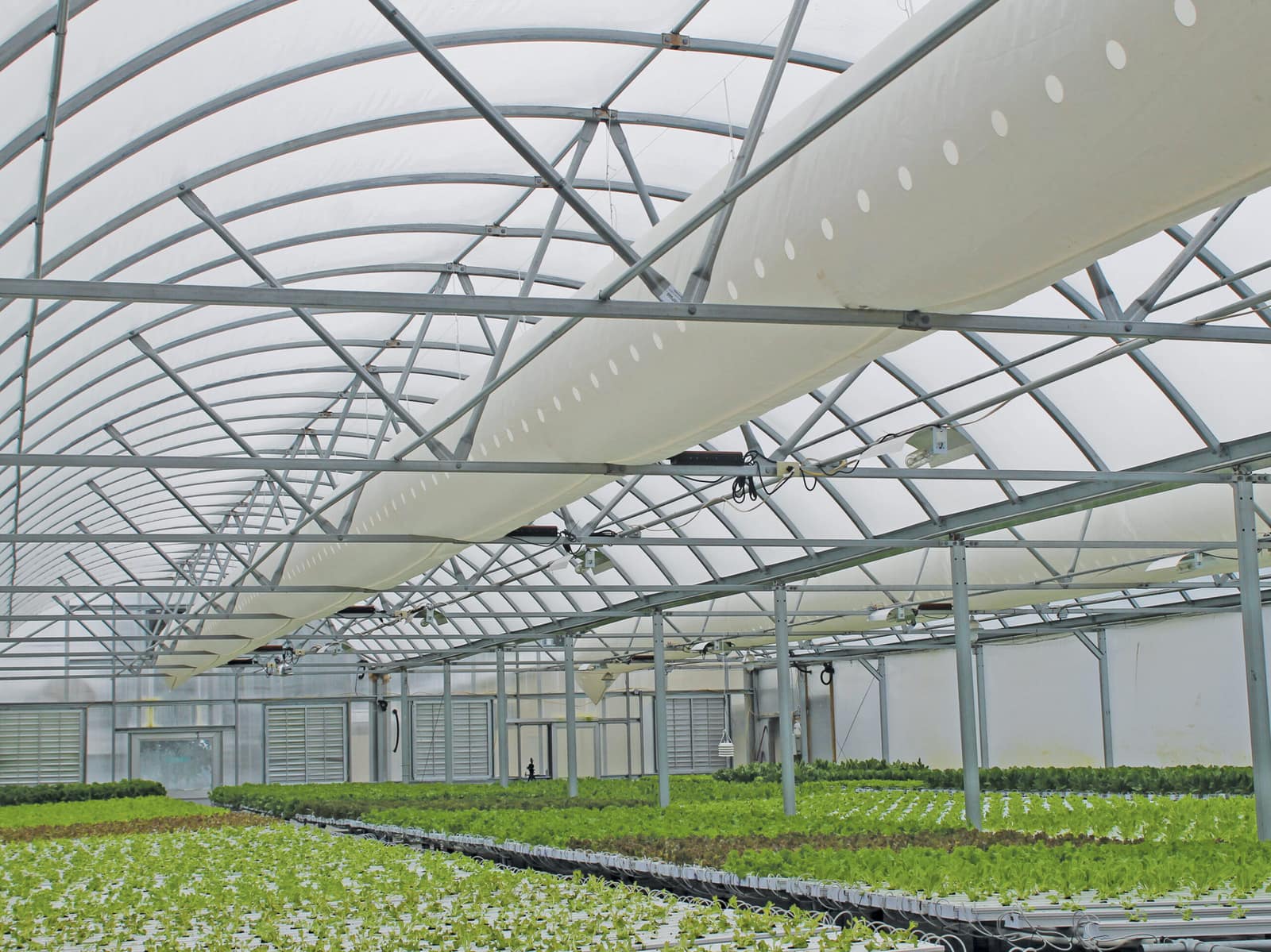 Agricultural Food Roofing — commercial roofing