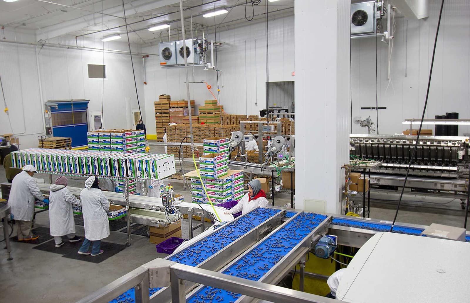 Food Ag Processing Cold Chain — commercial roofing